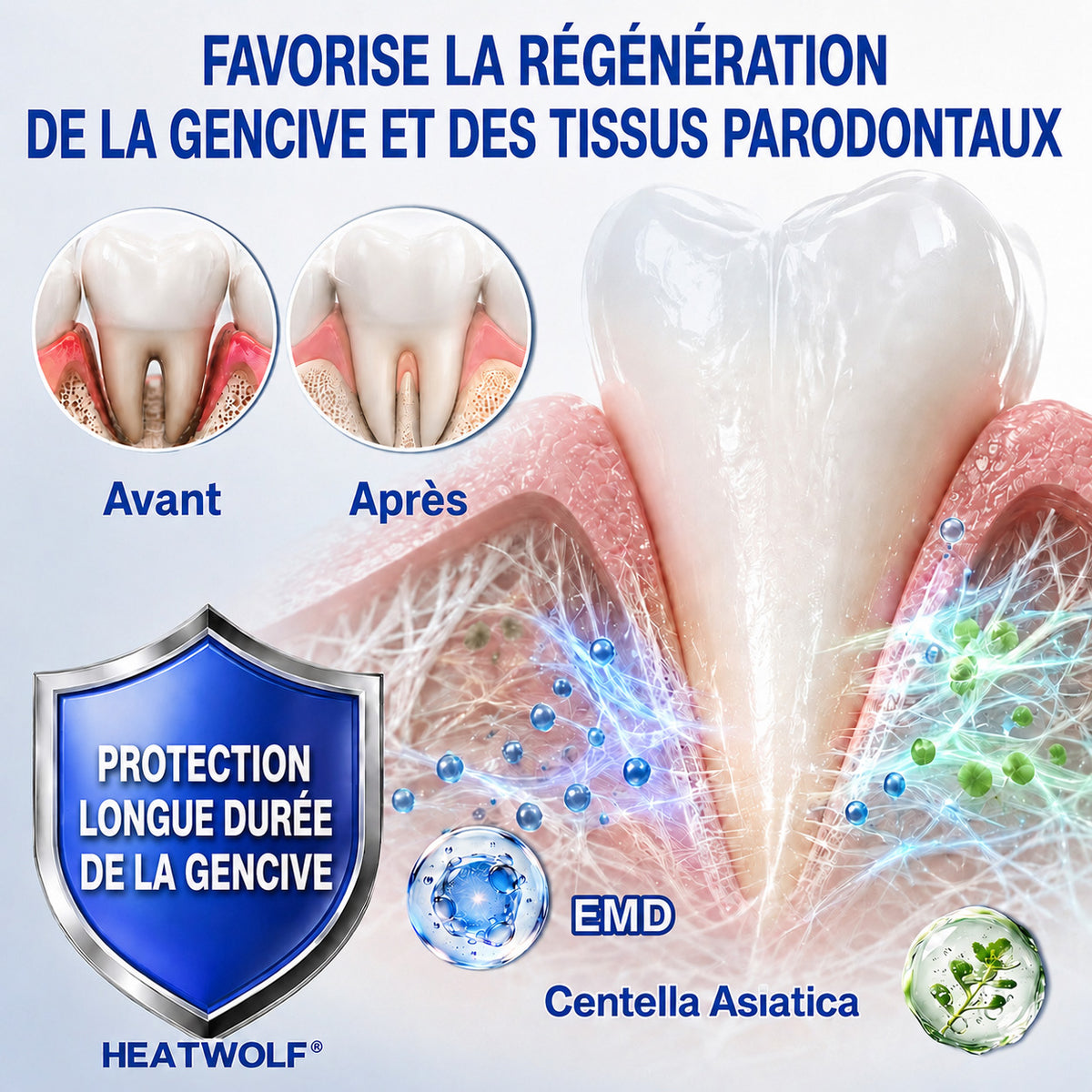 🇫🇷👨‍⚕️✅🦷 HEATWOLF® GumRevive – Gel réparateur parodontal 🦷✨1️⃣