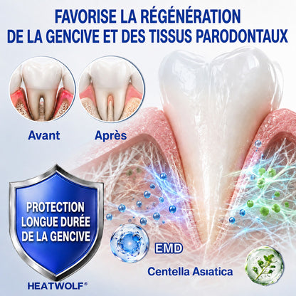 🇫🇷👨‍⚕️✅🦷 HEATWOLF® GumRevive – Gel réparateur parodontal 🦷✨1️⃣