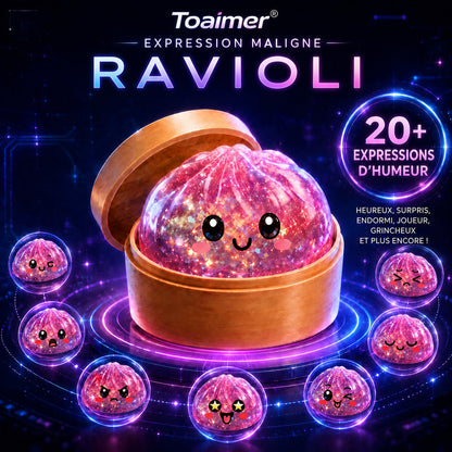 🚨 DERNIER JOUR : ÉCONOMISEZ 50 % ! 丨 Toaimer® Boule anti‑stress magique en forme de ravioli à transformer🥟🔥🔥🔥